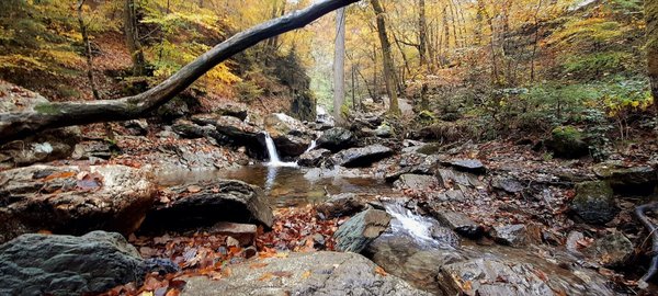 Poêle mixte bois et granulés : découvrez ce chauffage écologique et polyvalent