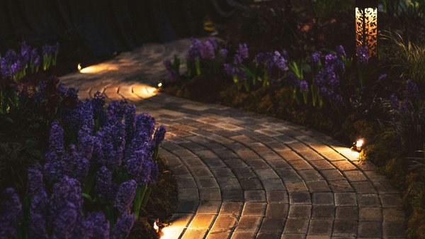 Les meilleures idées de décoration pour illuminer votre jardin la nuit