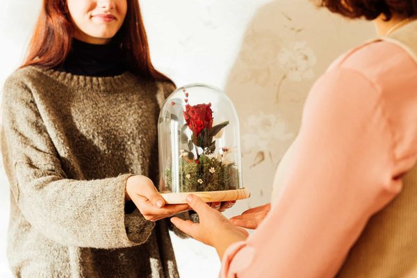 Quels sont les différents modèles des roses éternelles sous cloche disponibles ?